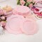 Disposable Pink Party Plastic Plates Set, 60 Pack (30 Guest) Dinner & Salad/Dessert Plate(Pink)